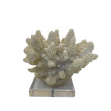 Escultura Coral Off-White Acrílico 